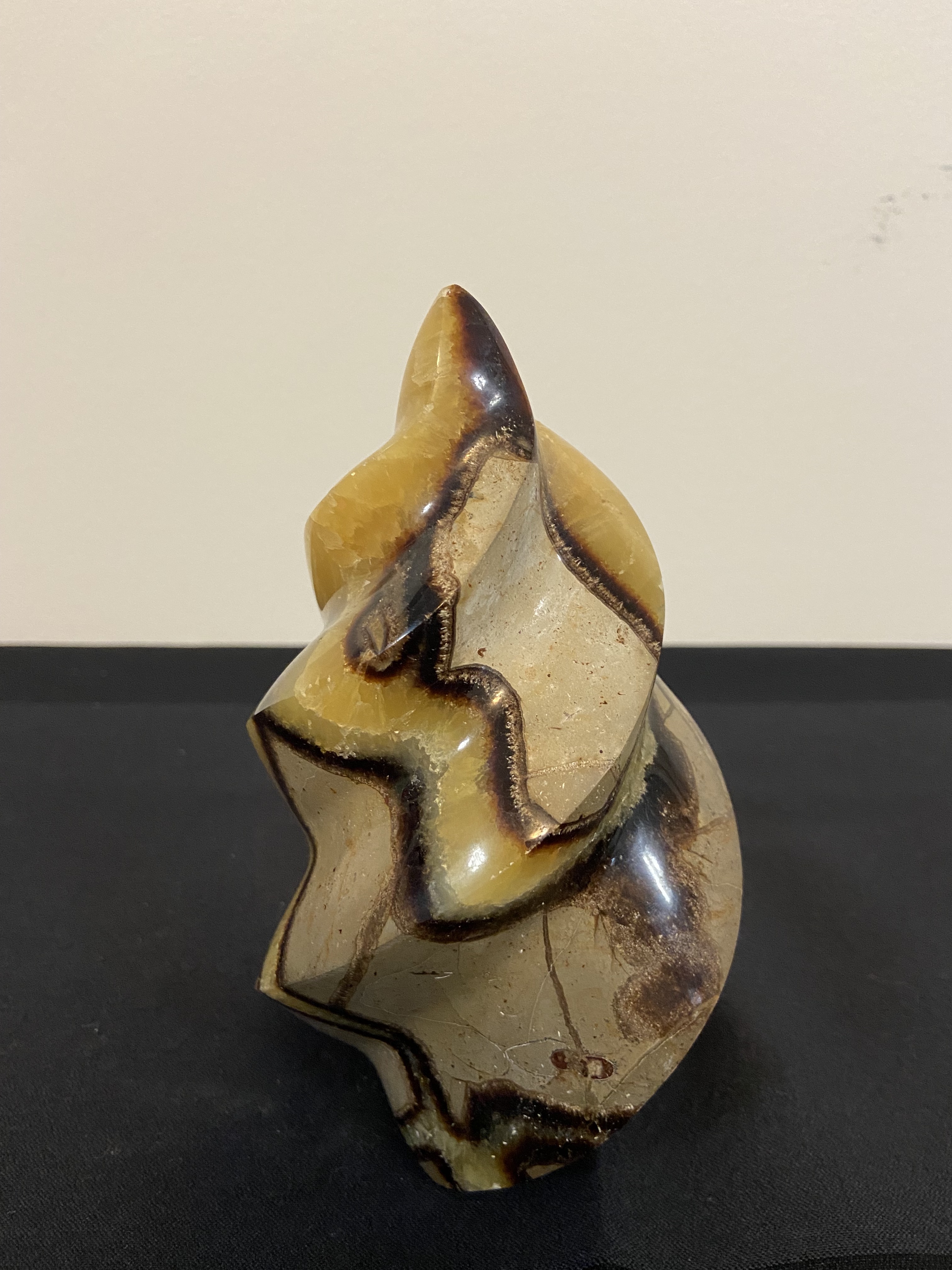 Septarian